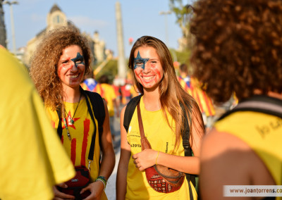 11 de setembre 2014, Via Catalana