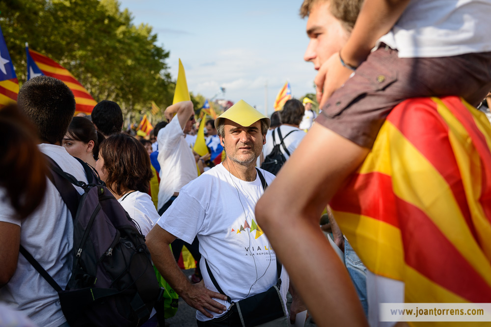 Via Catalana - Barcelona 11 de setembre de 2015