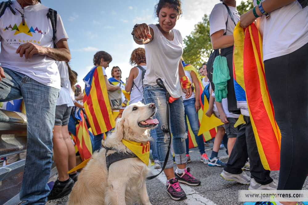 Via Catalana - Barcelona 11 de setembre de 2015