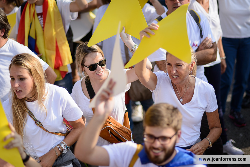 Via Catalana - Barcelona 11 de setembre de 2015