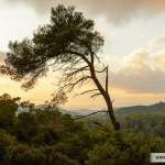 Parc de Collserola, Vallvidrera