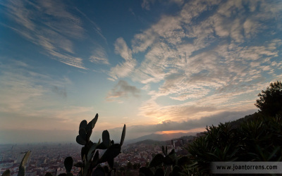Ruta fotogràfica al Parc del Guinardó