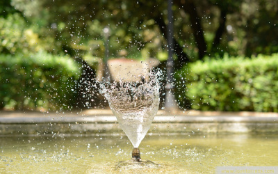 Programació estiu 2012: Tallers infantils de fotografia als parcs